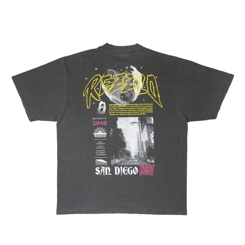 Gray t-shirt with hand screen printed design of a UFO in San Diego - Back